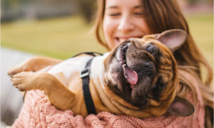 puppy nasal congestion