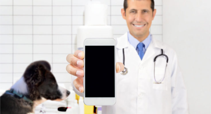 How Can A Pet Owner Help You Marketing Your Pet Health Clinic Online